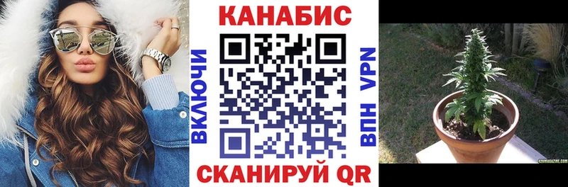 Каннабис Bruce Banner  магазин    Пестово 